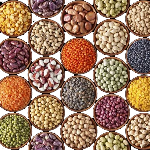 Cereals, Grains, Pulses & Products 